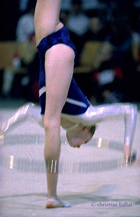 Rsgv1.JPG (85087 Byte)