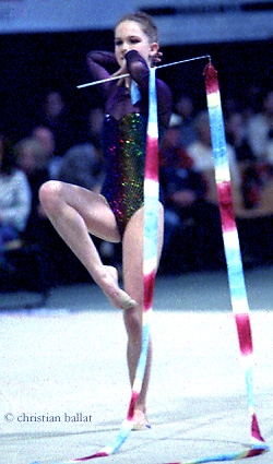 Rsgv3.JPG (91620 Byte)