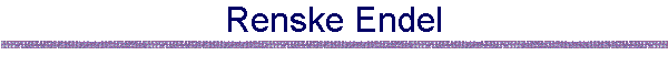 Renske Endel
